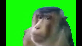 Monkey listening to music meme (Green Screen) – CreatorSet