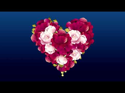 AO MESTRE COM CARINHO, GRATIDÃO E AMOR