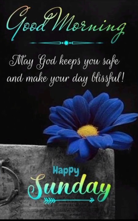 Happy Sunday βοΈ Good Morning π Stay Blessed #shorts #sunday #goodmorning #happysunday #morning