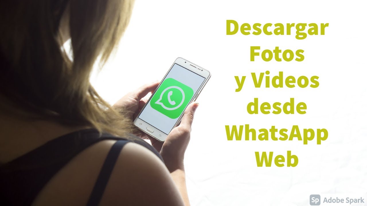 Como descargar videos de whatsapp web a la pc videos fotos doc