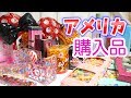 アメリカ ディズニー 購入品☆コスメや雑貨、お得に買えたブランド品も♪【 こうじょうちょー 】