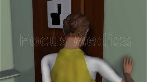 Bladder spasm - Animated Atlas of BPH and OAB