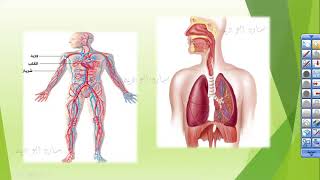 1  المنهاج الاردني الجديد العلوم _الصف الخامس _ الجزء الثاني_الثاني_ الجهاز التنفسي و الجهاز الدوران