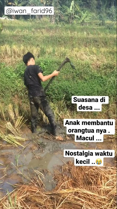 Pemandangan di desa... macul di sawah membantu orangtua . #nostalgia #pedesaan #sawah #kampung