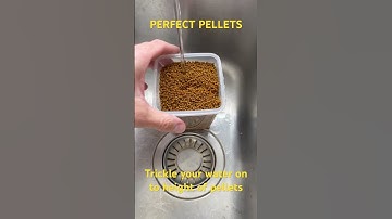 Perfect Pellets for method feeder fishing
