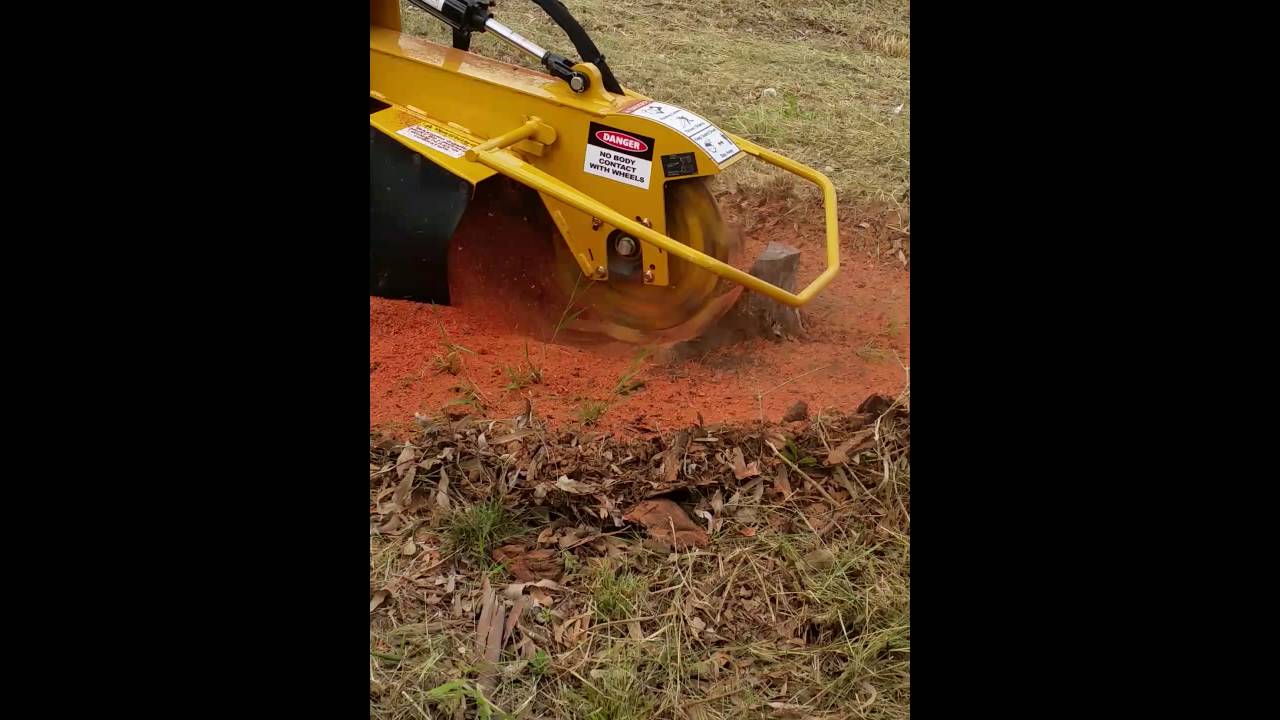 Snelsons maintenance stump grinding