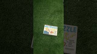 48 Fascinating Puzzles Classic Multipuzzle Brain Game Puzzle Challenge