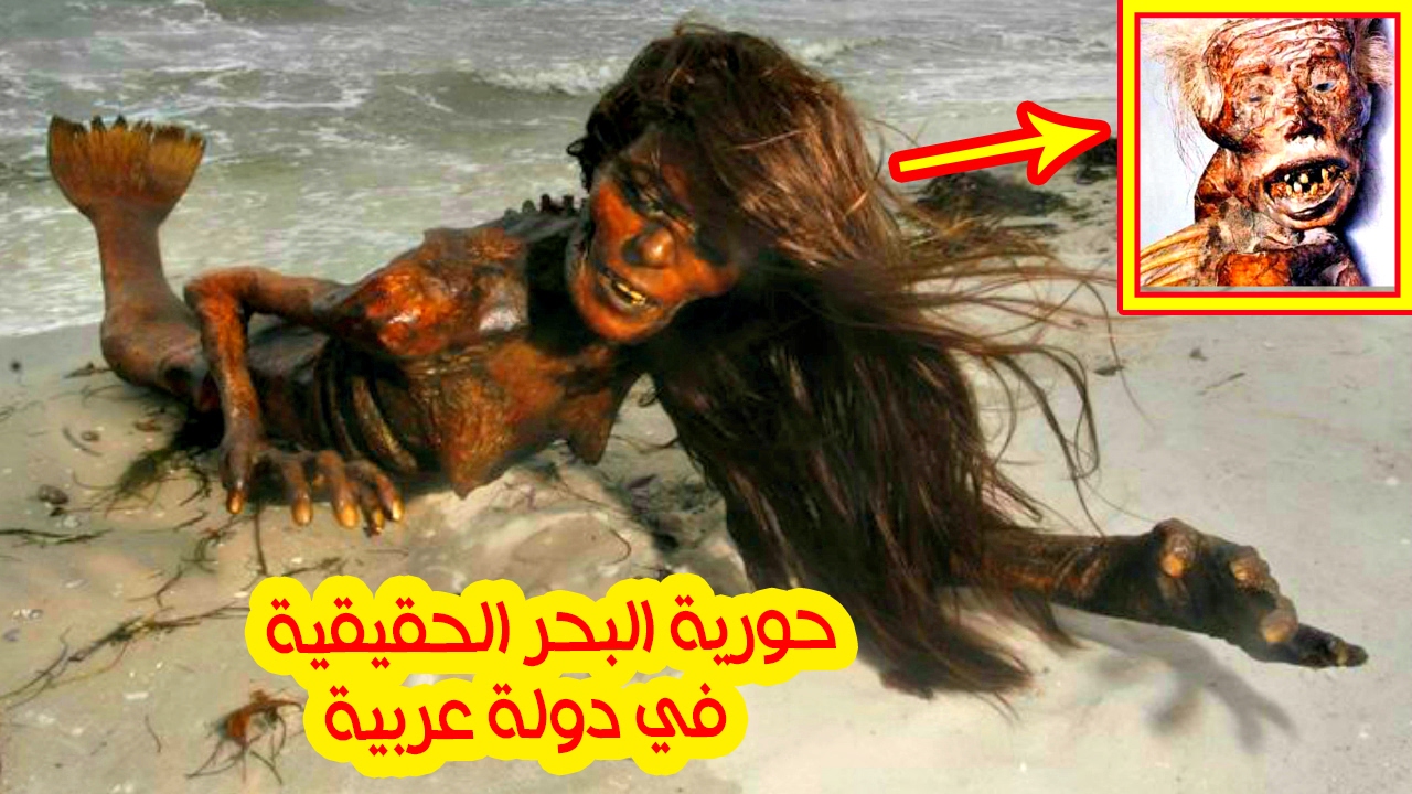 ظهور حورية البحر الحقيقية في دولة عربية كل ما تريد أن تشاهدة