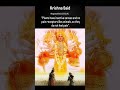 What Krishna said about Plants?#ytshorts #universe #krishna #explore