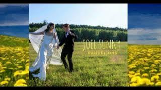 dandelions (violin) - joel sunny (slowed)