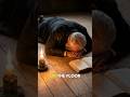 The Man Who Prayed Until His Heart Moved | Praying Hyde