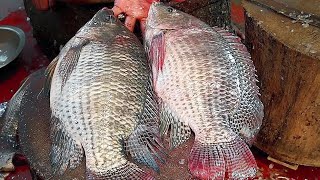 Big Tilapia Fish Cutting Live In BD Fish Market | Amazing Fish Cutting Skills