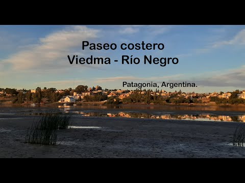 Video: Pantai Terbaik Di Argentina, Patagonia, Wilayah Rio Negro