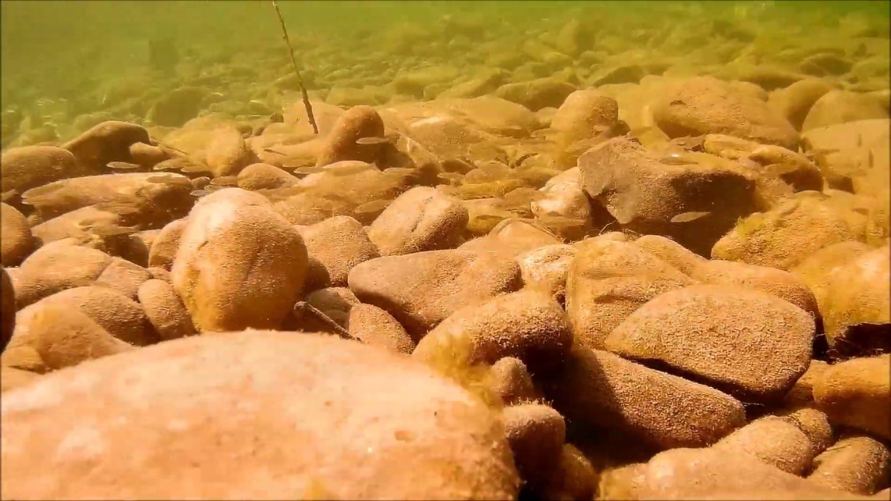 Sense river Switzerland