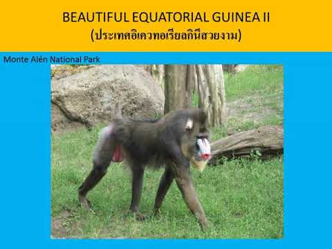 EQUATORIAL GUINEA (ประเทศอิเควทอเรียลกินี)