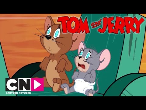 Tom & Jerry Show I Sargılar İçinde I Cartoon Network Türkiye