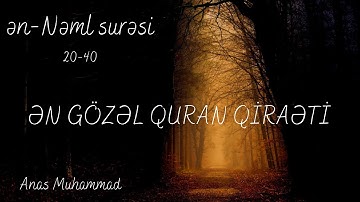 Nəml surəsi (20-40) Anas Muhammad / سورة النمل - انس محمد