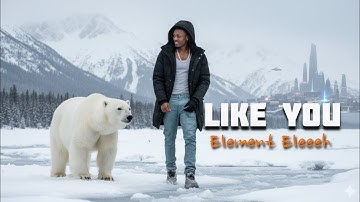 Element Eleeeh _ Like you ( official video)