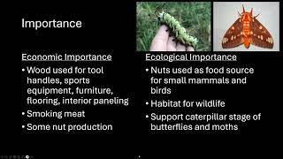 Hickories of Kentucky Online Class