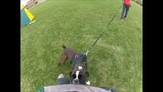 Esco bite work GoPro Hero2