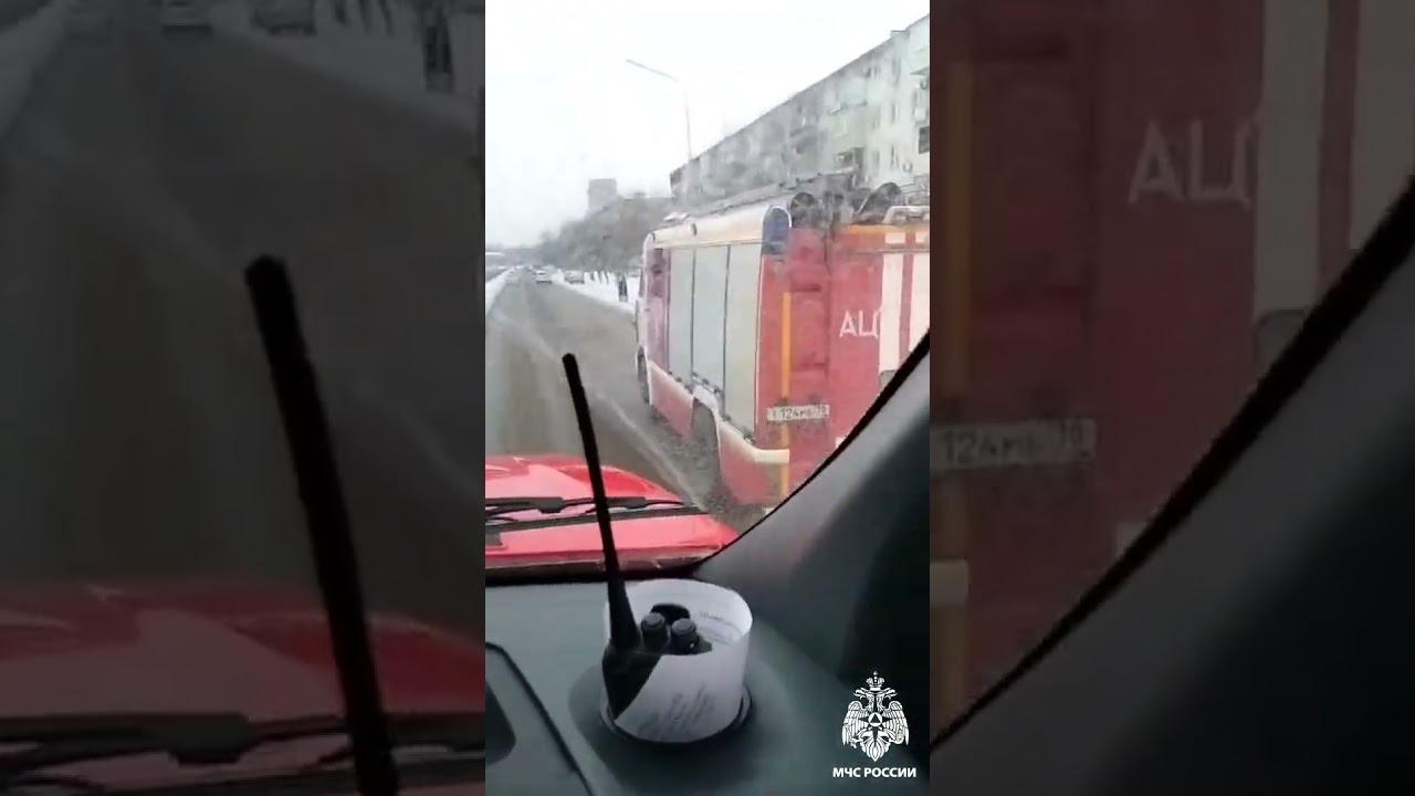 В астраханском МЧС рассказали о собаке-предсказателе 7 февраля 2024 г.