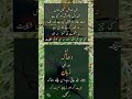 Lamba Dhaga Or Lambi Zaaban Ulhg Jate Hain Trending 