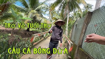 NTD trở về tuổi thơ câu cá bóng dừa 