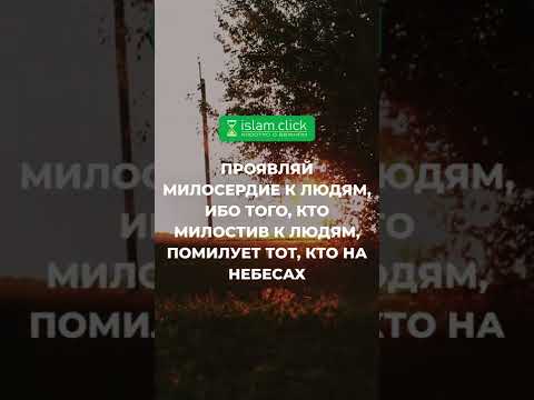 Проявляй милосердие к людям | Абу Яхья аль-Къирми | Коротко о важном