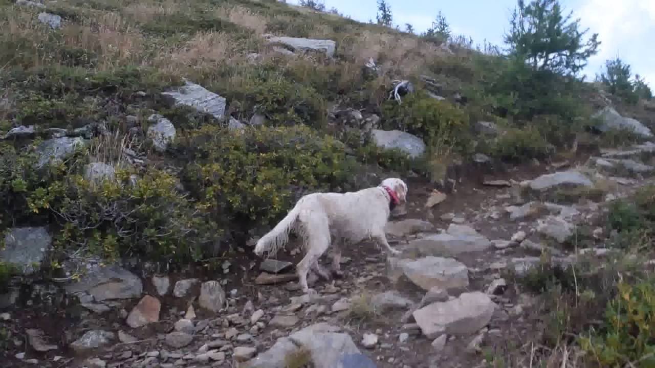 Setter & Forcelli: una guidata...mozzafiato!