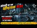 Dark, Scary &amp; Dangerous Forests | Most Horror Forest In The World | Haunted Places | Unbelievable !!