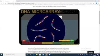 Virtual Lab: DNA Microarray Net Worth