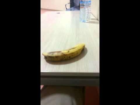 موزة العجيبة