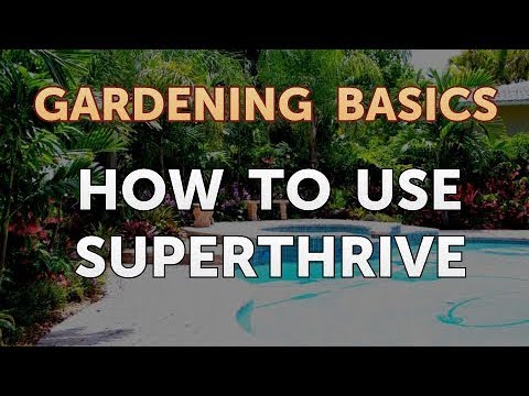 How to Use SUPERThrive