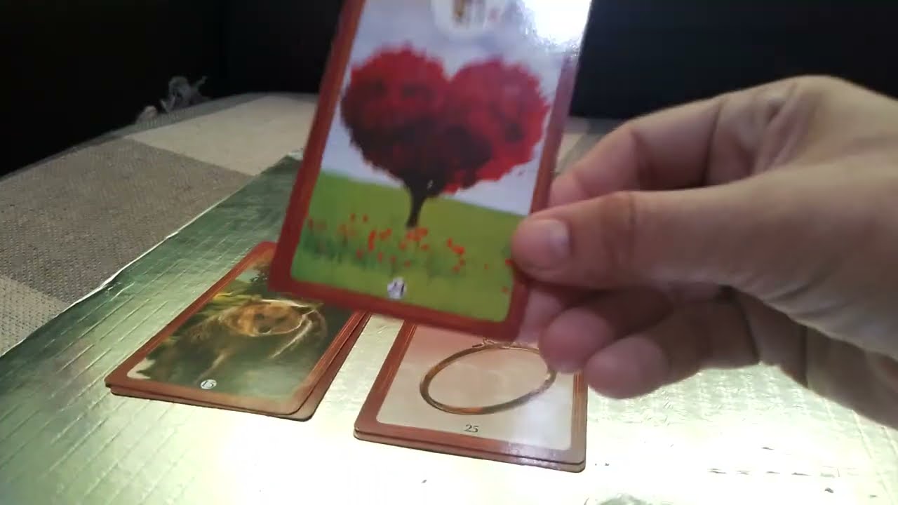 Gêmeos  final de semana/ amor para solteiro  ,casado, reconciliação, trabalho e dinheiro 