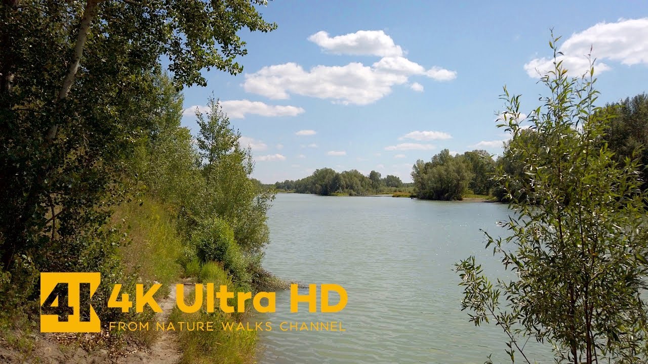 Serenity Nature Summer Walk