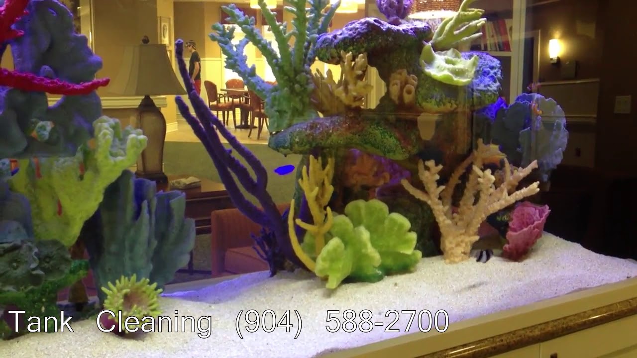 Artificial Aquarium Coral - Cauliflower Coral Neon Orange - Freshwater – Aquatic Experts