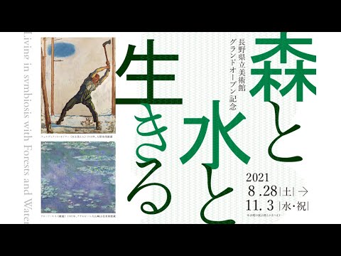 長野県美術全集 全12巻 美本 長野県美術全集 全12巻