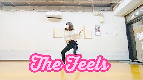 The Feels/TWICE レッスン前に30分で覚えて踊ってみた【踊ってみた】