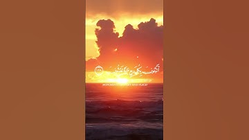 #قرآن #quran #تلاوات #تلاوة_خاشعة #تلاوة_هادئة #تلاوة_هادئة #قران_كريم #راحة_نفسية