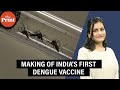 Inside The Making Of India S First Dengue Vaccine DengiAll 
