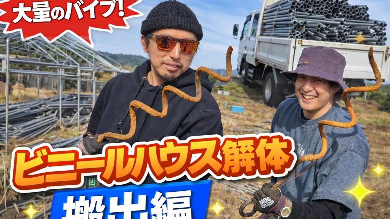 ビニールハウス解体　バラシからの搬出編