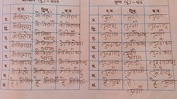 std 8 sanskrit ch 9 swadhyaypothi sem 1 solution std 8 sanskrut ch 9 bhasha sajjata swapothi