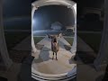 Realistic Ring doorbell camera