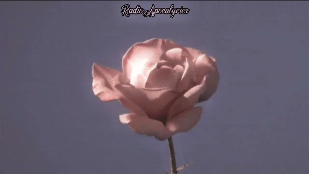 The Ronettes - When I Saw You (Lyrics) The Ronettes - When I Saw You (Lyrics)