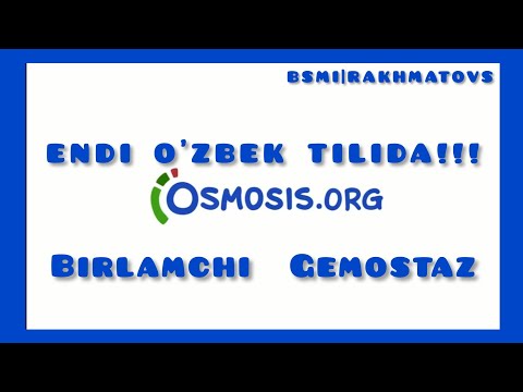 Birlamchi gemostaz osmosis endi o‘zbek tilida