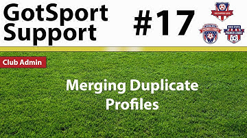 Merging Duplicate Profiles (and how to make them match)