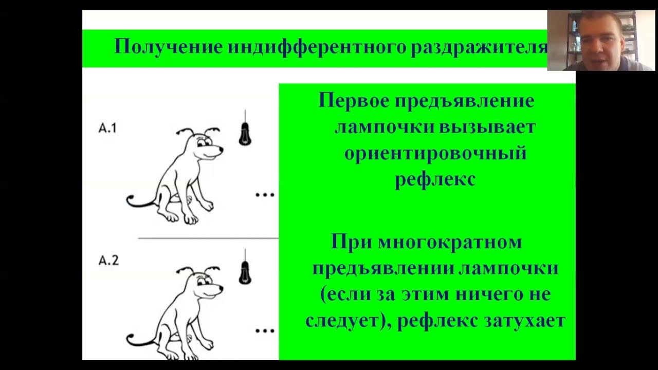 Рефлекс 2 порядка. Тест условный рефлекс. Условный рефлекс 2001. Какое значение имеют условные рефлексы в жизни животных и человека. Условный рефлекс картинка с рыбками для детей.