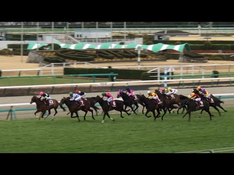 現地】アスクビクターモア 報知杯弥生賞ﾃﾞｨｰﾌﾟｲﾝﾊﾟｸﾄ記念 - YouTube