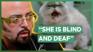 Jackson Galaxy Helps A Blind, Deaf, And Aggressive Cat! | My Cat From Hell