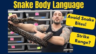 How to Read Snake Body Language and Not Get Bit